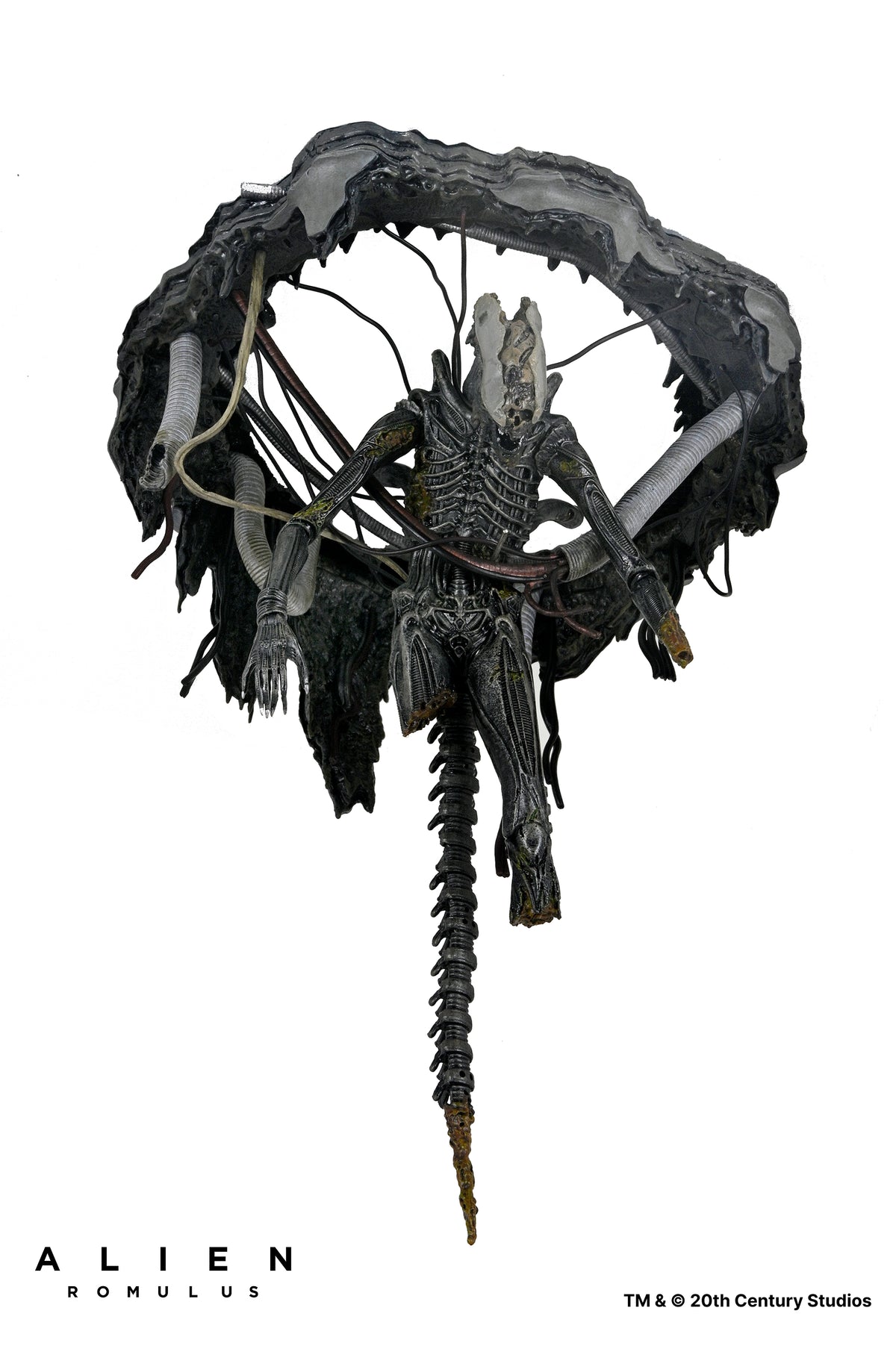 Alien: Romulus - Deluxe Suspended Lab Xenomorph XX121 7" Scale Action ...