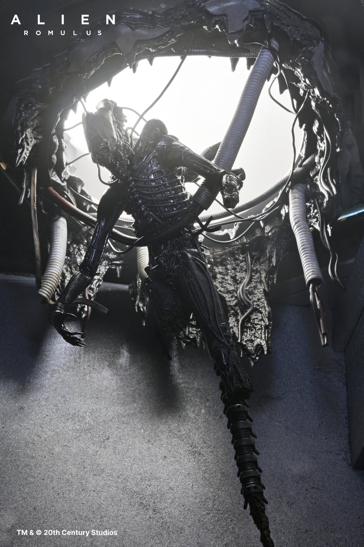 Alien: Romulus - Deluxe Suspended Lab Xenomorph XX121 7" Scale Action ...