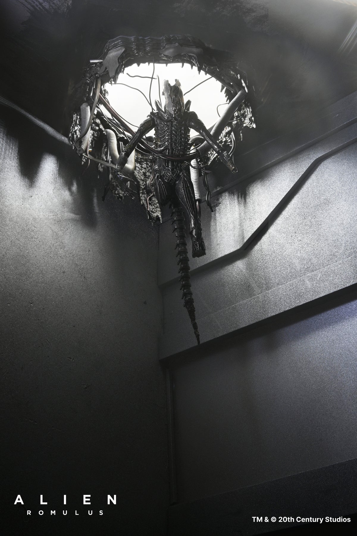 Alien: Romulus - Deluxe Suspended Lab Xenomorph XX121 7