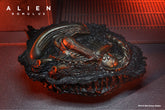 Alien: Romulus Accessory Set - NECA