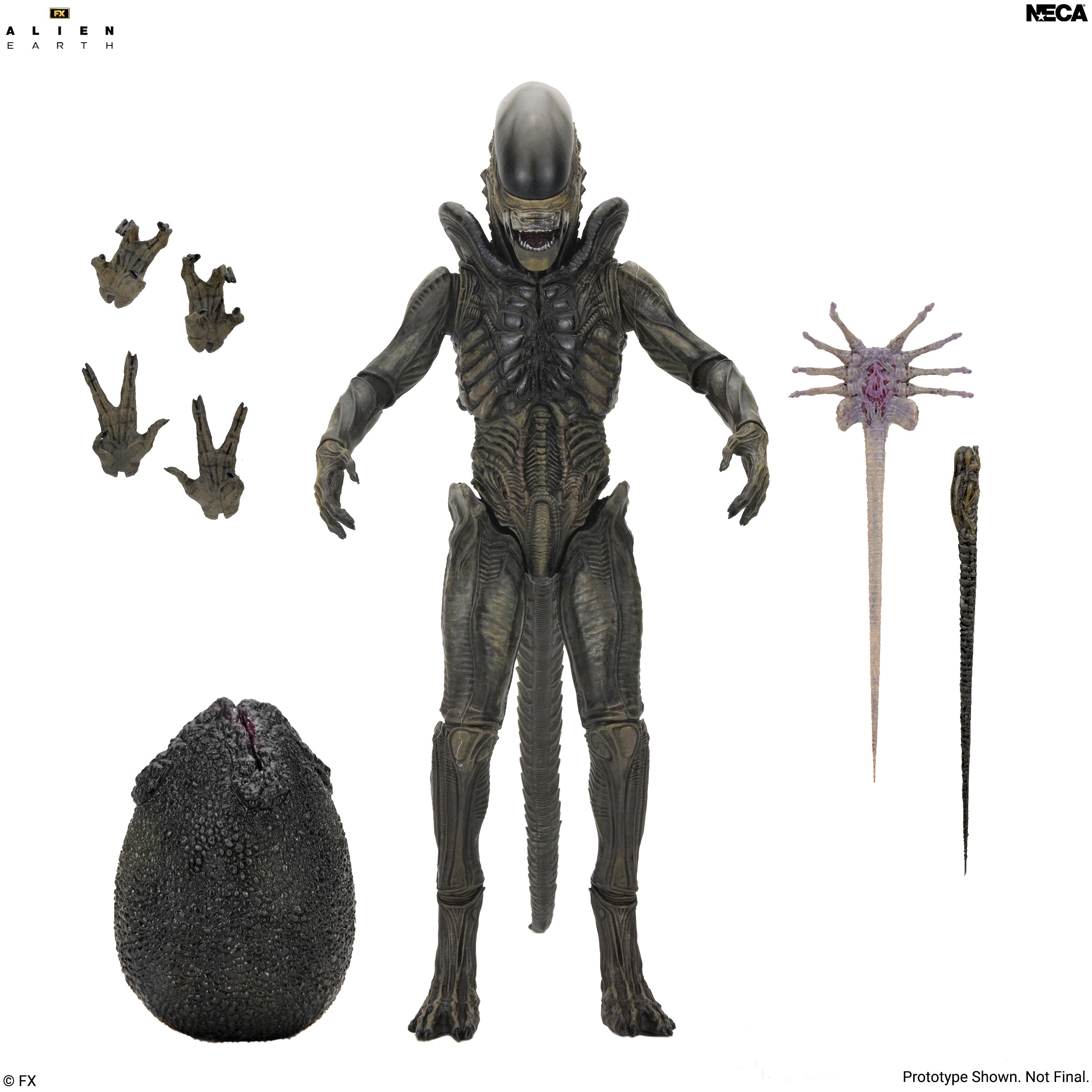 NECA Alien エイリアン 3 アルティメット7インチアクションフィギュア Alien: Earth - Ultimate Xenomorph 7