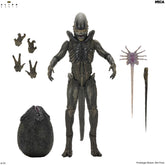 Alien: Earth - Ultimate Xenomorph 7" Scale Action Figure on the NECA Store