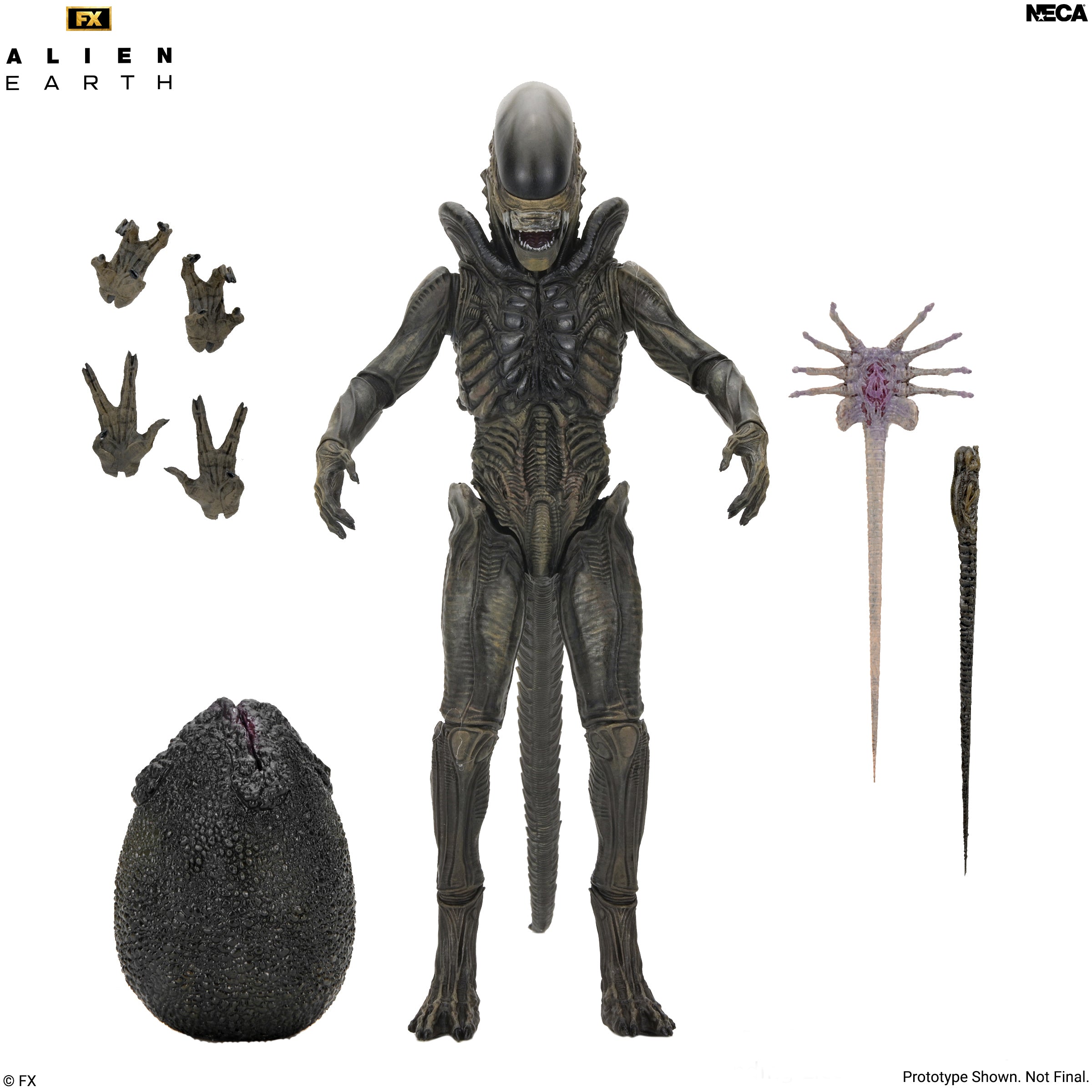 Alien: Earth - Ultimate Xenomorph 7