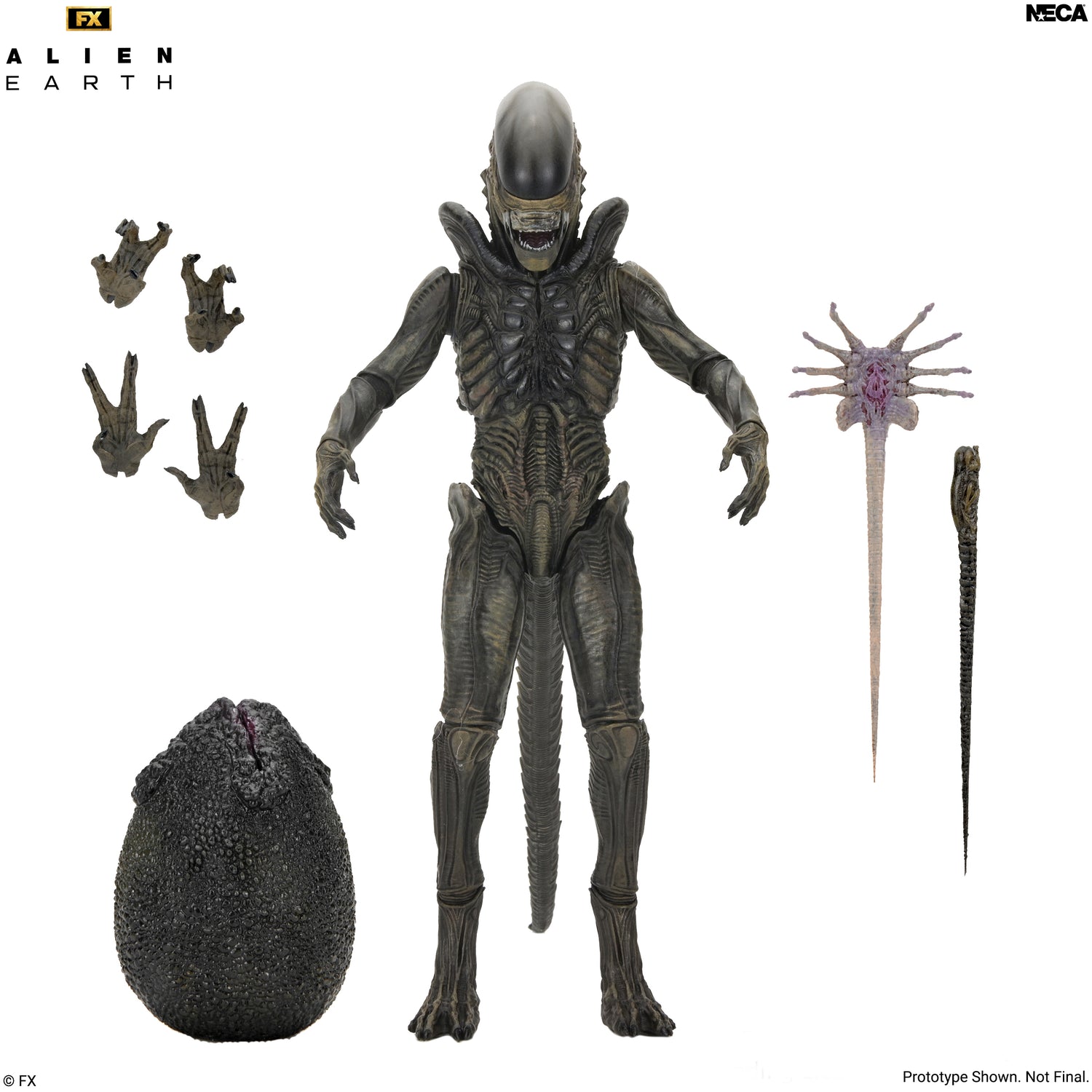 Alien: Earth - Ultimate Xenomorph 7" Scale Action Figure on the NECA Store