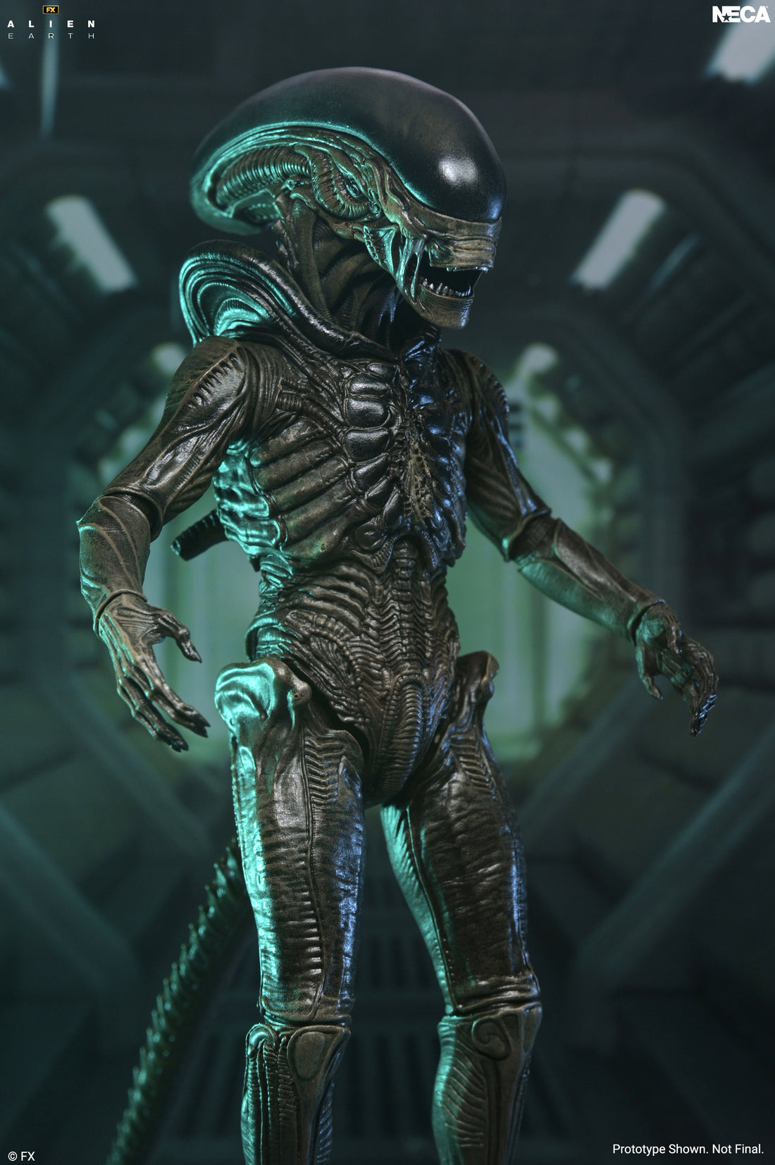 Alien: Earth - Ultimate Xenomorph 7" Scale Action Figure on the NECA Store