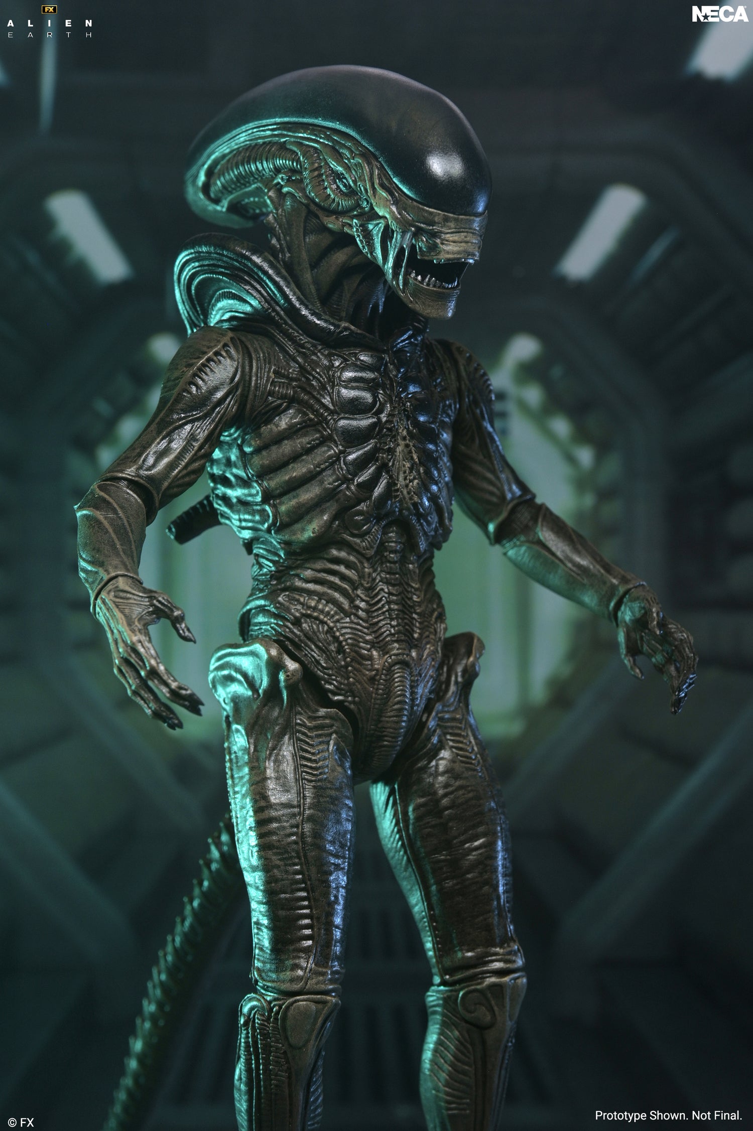 Alien: Earth - Ultimate Xenomorph 7" Scale Action Figure on the NECA Store