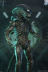 Alien: Earth - Ultimate Xenomorph 7" Scale Action Figure on the NECA Store