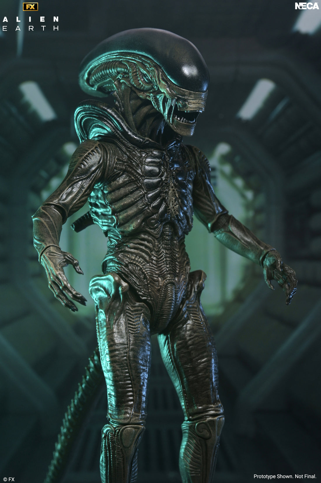 Alien: Earth - Ultimate Xenomorph 7" Scale Action Figure on the NECA Store