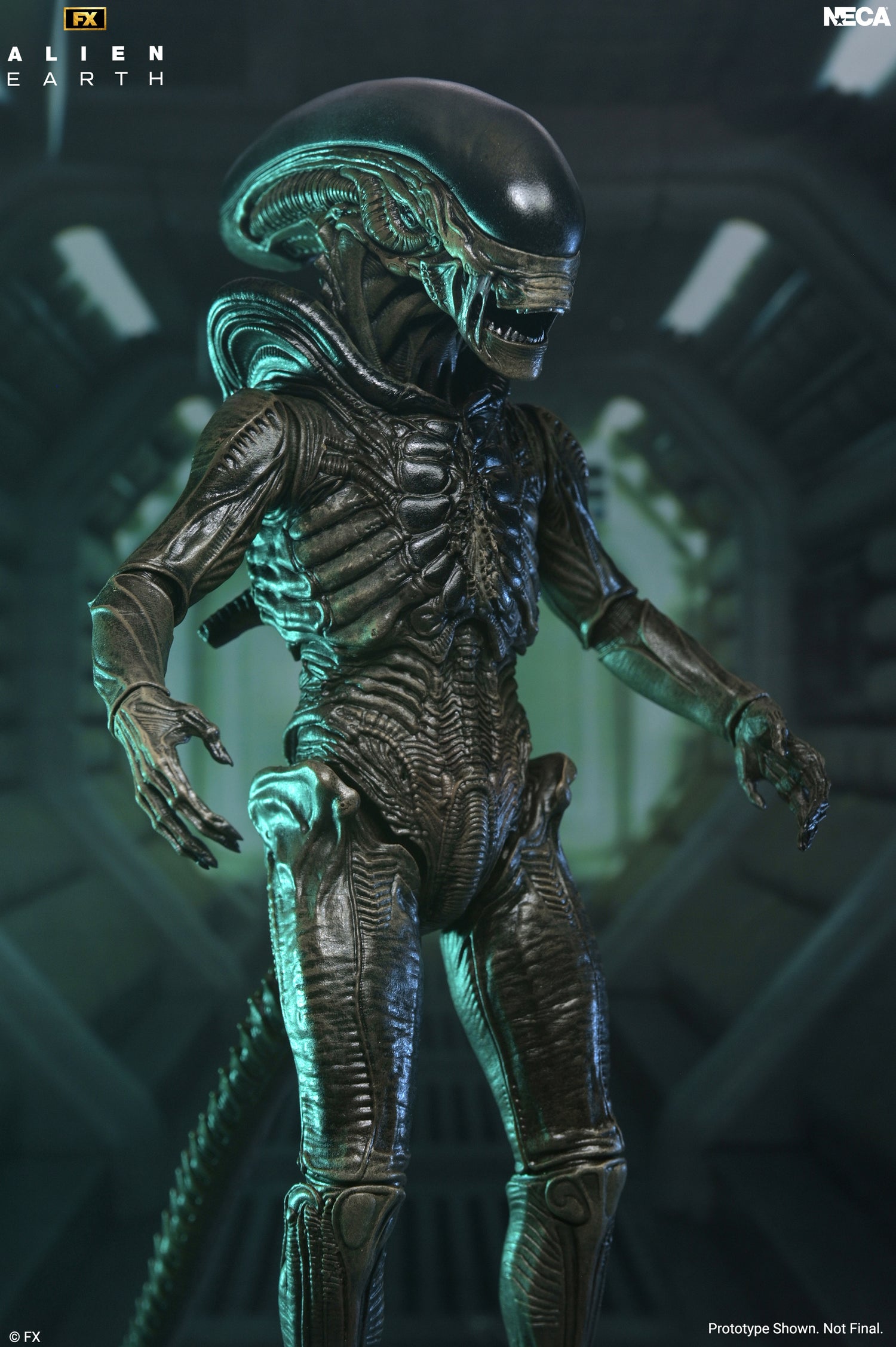 Alien: Earth - Ultimate Xenomorph 7" Scale Action Figure on the NECA Store