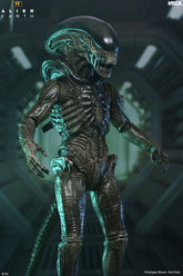 Alien: Earth - Ultimate Xenomorph 7" Scale Action Figure on the NECA Store