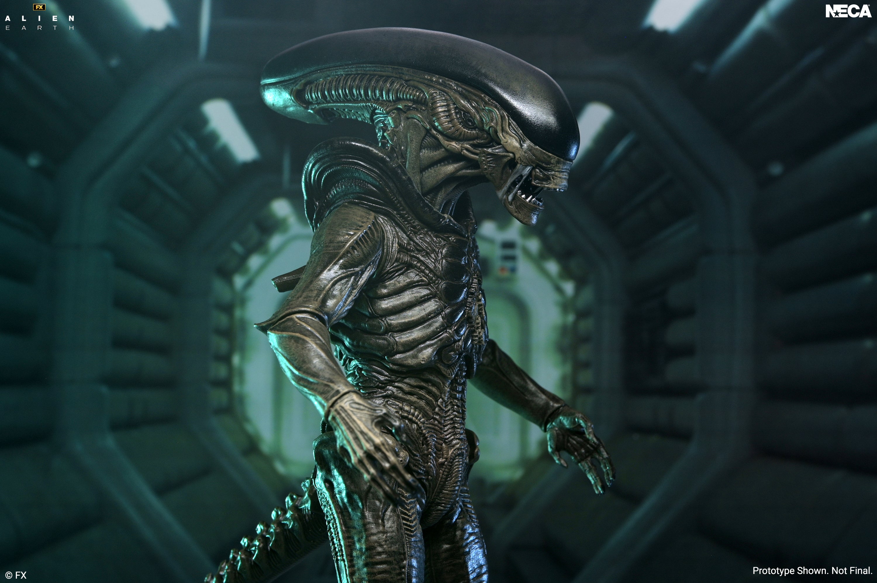 Alien: Earth - Ultimate Xenomorph 7" Scale Action Figure on the NECA Store