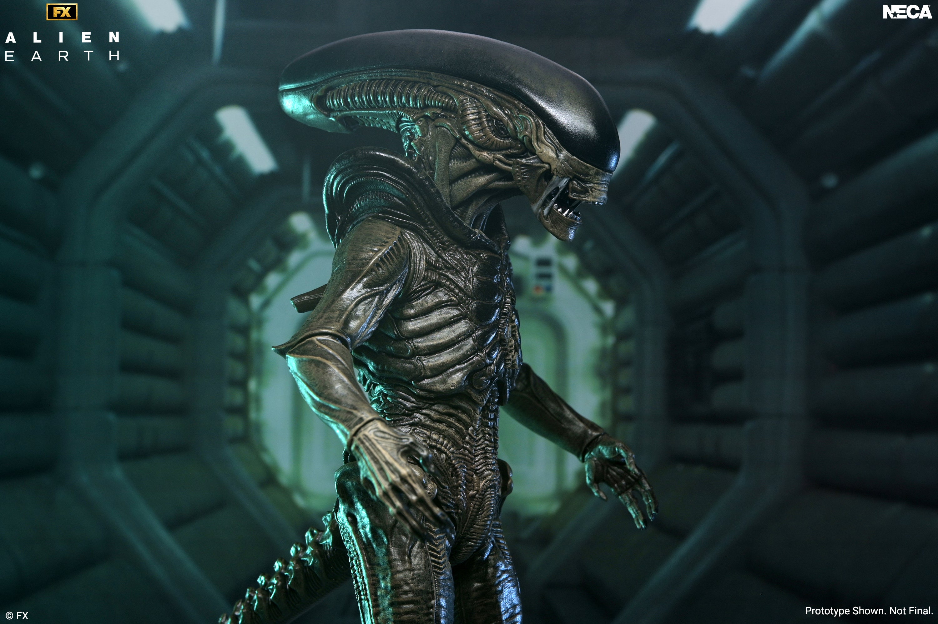 Alien: Earth - Ultimate Xenomorph 7" Scale Action Figure on the NECA Store