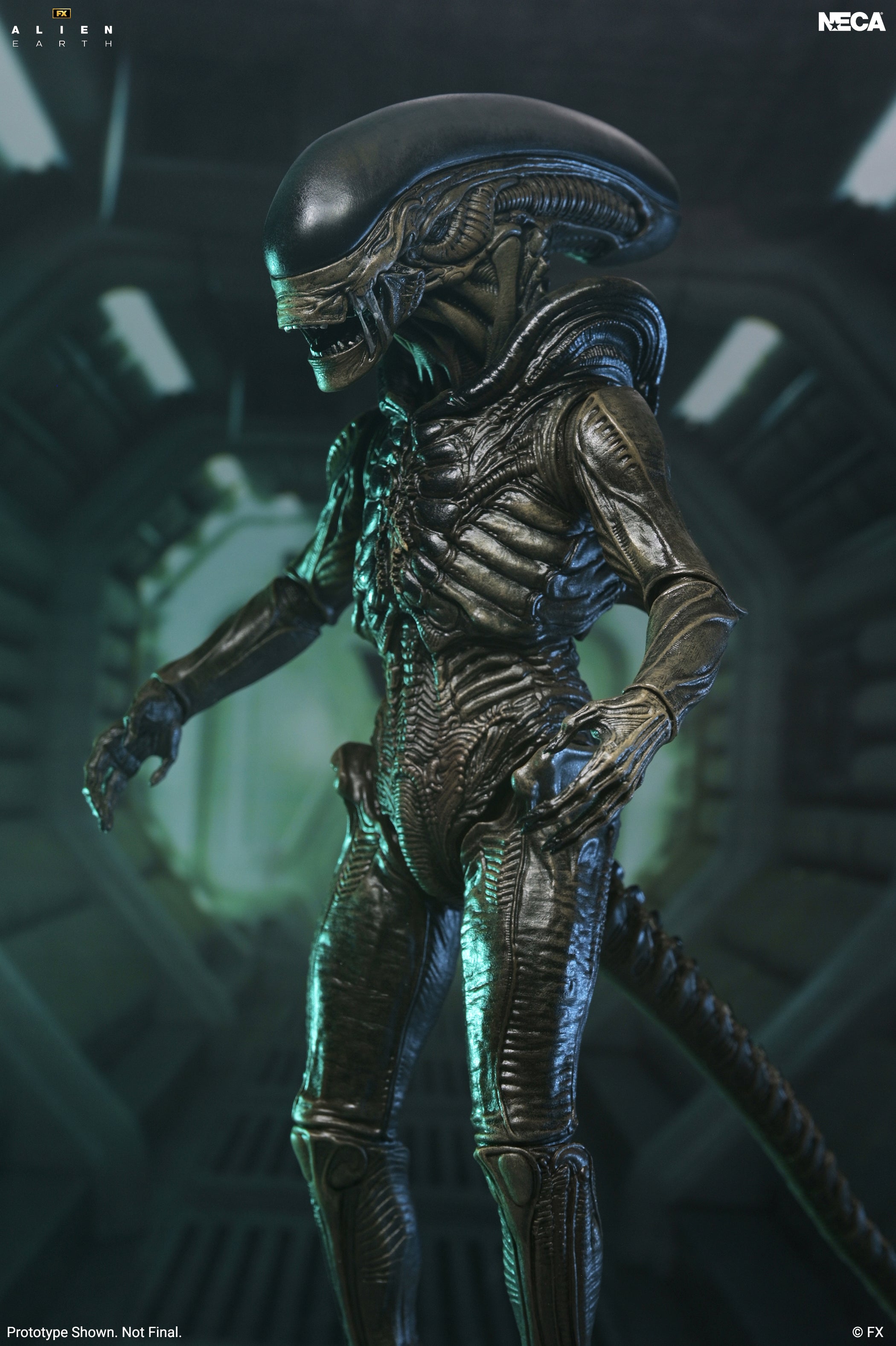 Alien: Earth - Ultimate Xenomorph 7" Scale Action Figure on the NECA Store