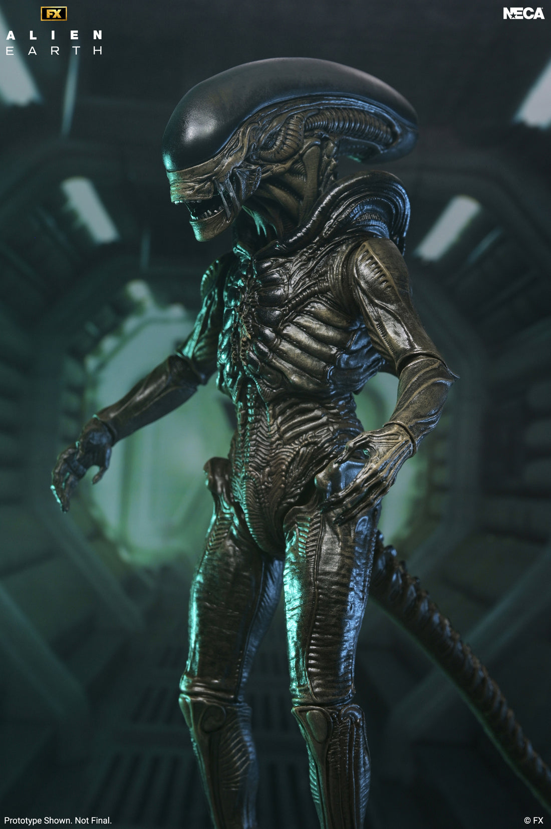 Alien: Earth - Ultimate Xenomorph 7" Scale Action Figure on the NECA Store