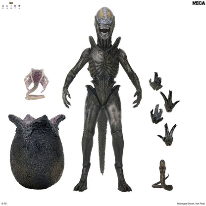 Alien: Earth - Ultimate Wendy&