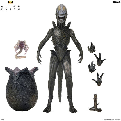 Alien: Earth - Ultimate Wendy&