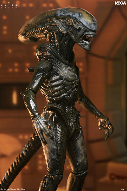 Alien: Earth - Ultimate Wendy&