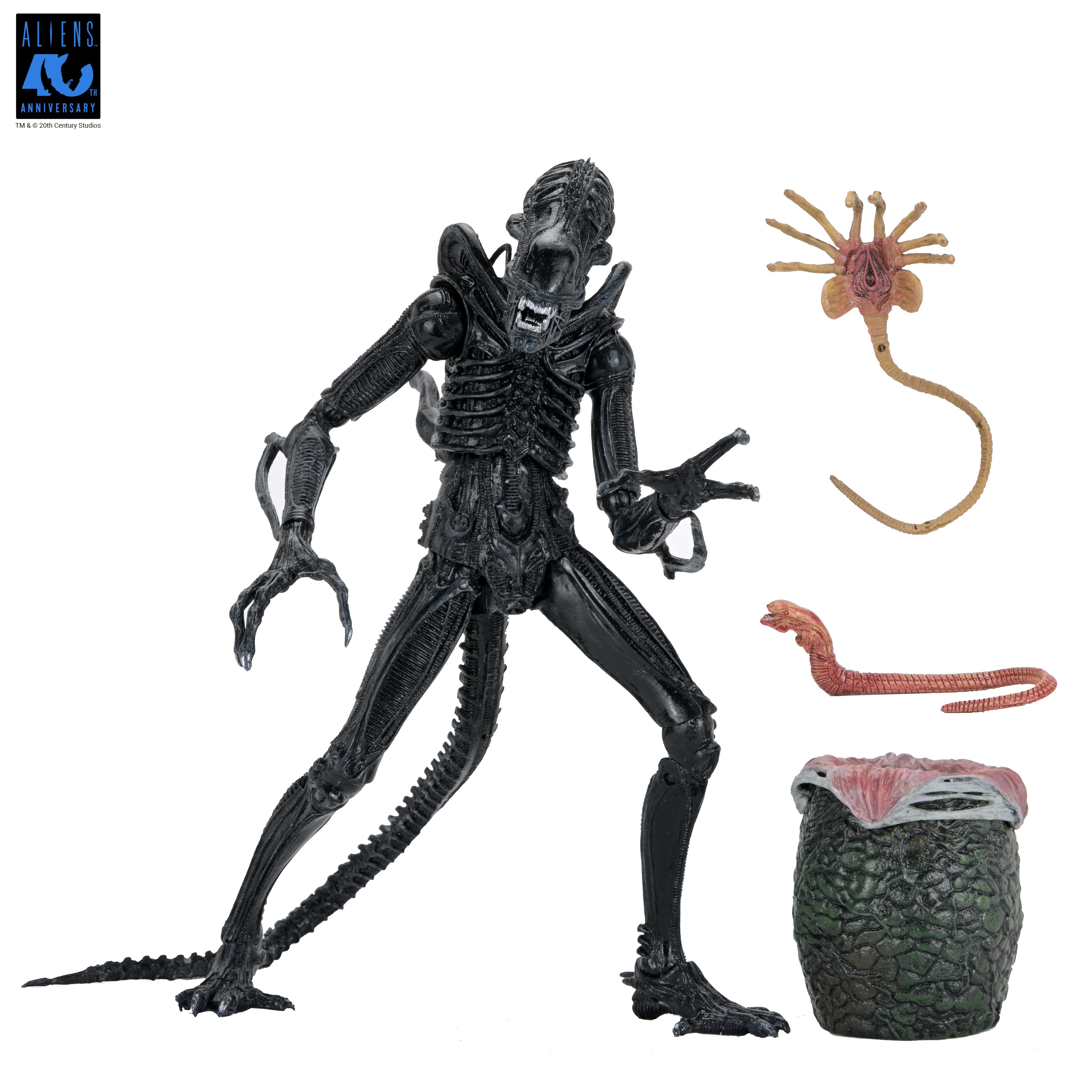 Neca エイリアン Amazon.com: NECA Alien - 7