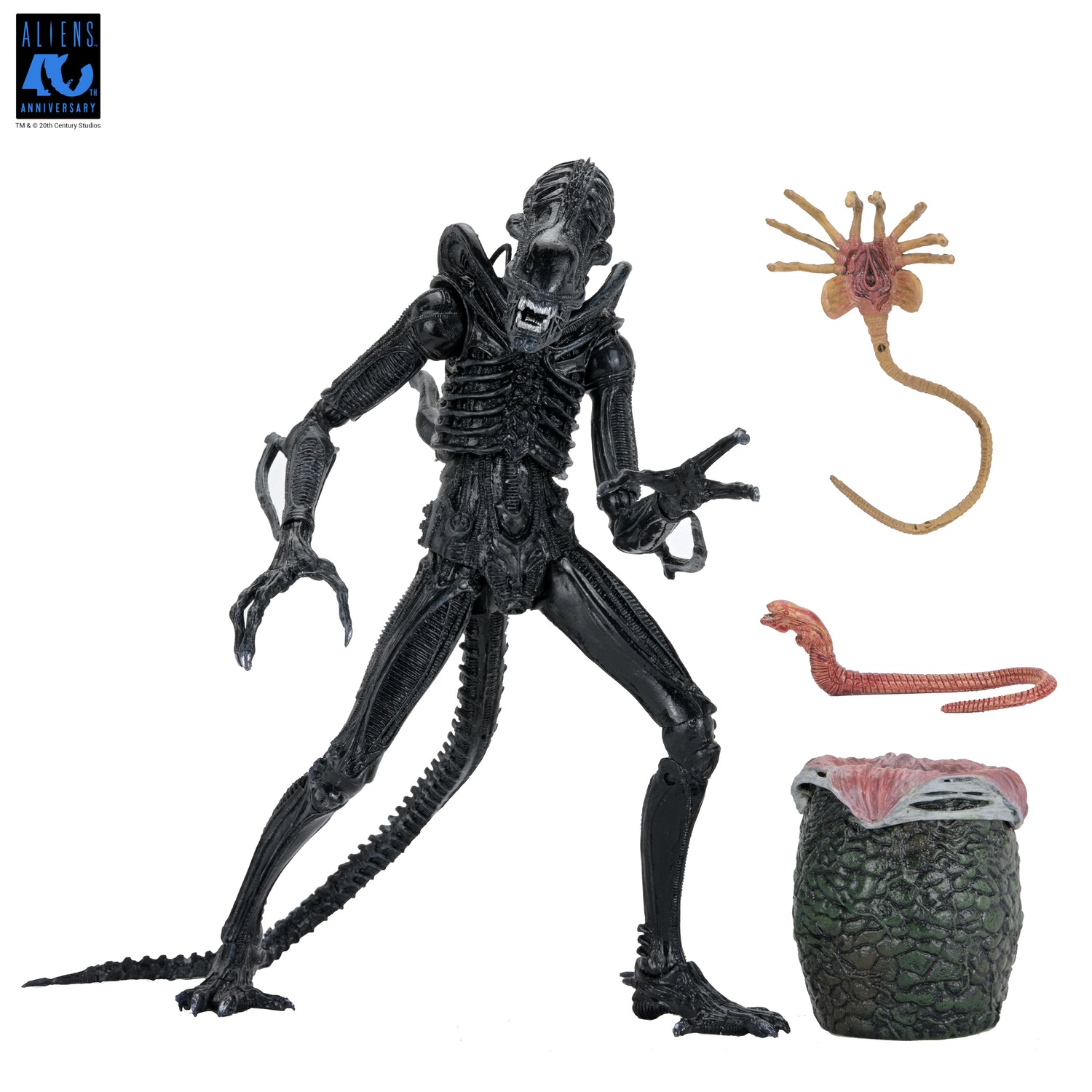 Aliens - 40th Anniversary Ultimate Xenomorph Warrior 7" Scale Action Figure (PRE-ORDER)