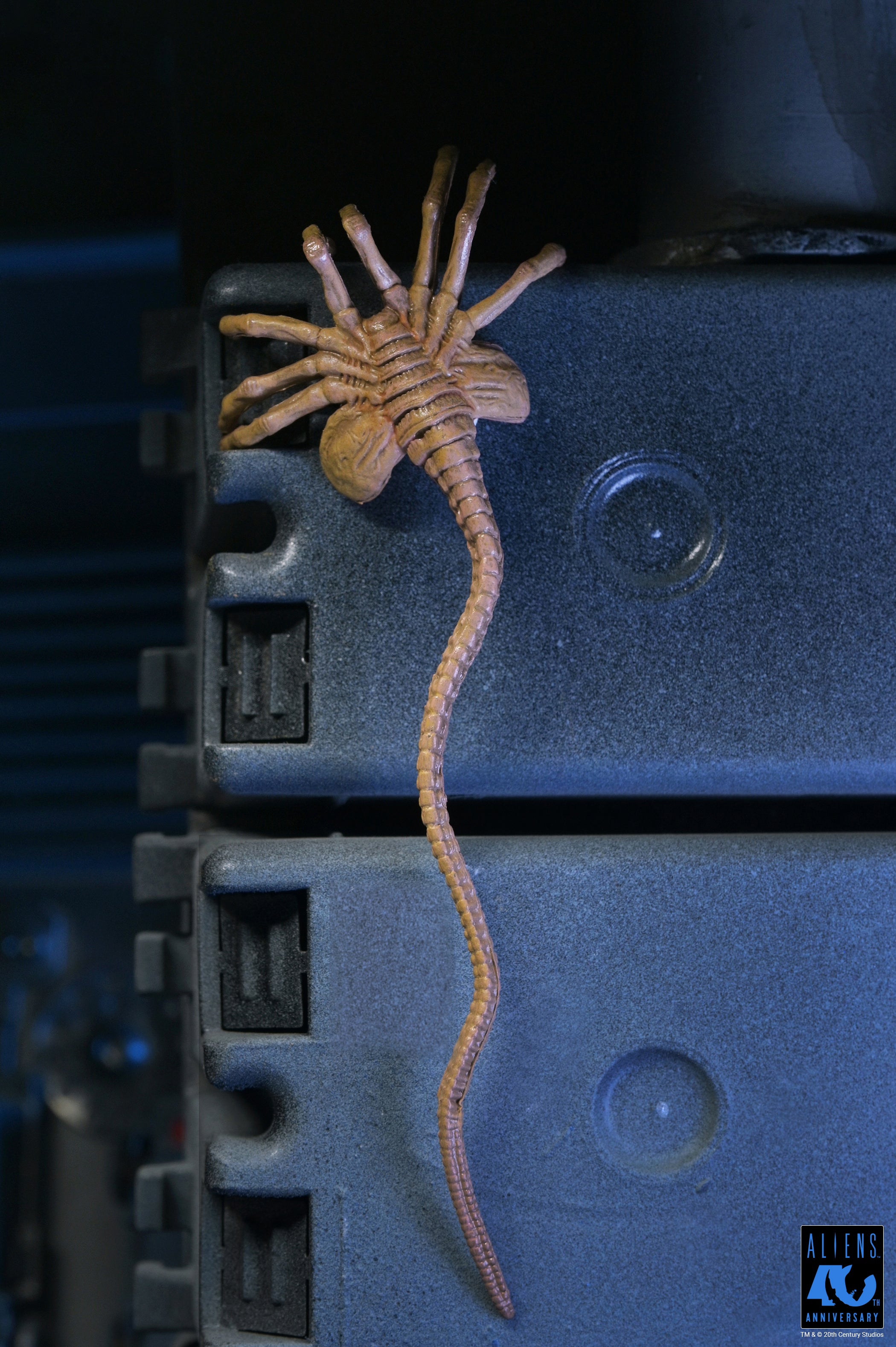 Aliens - 40th Anniversary Ultimate Xenomorph Warrior 7