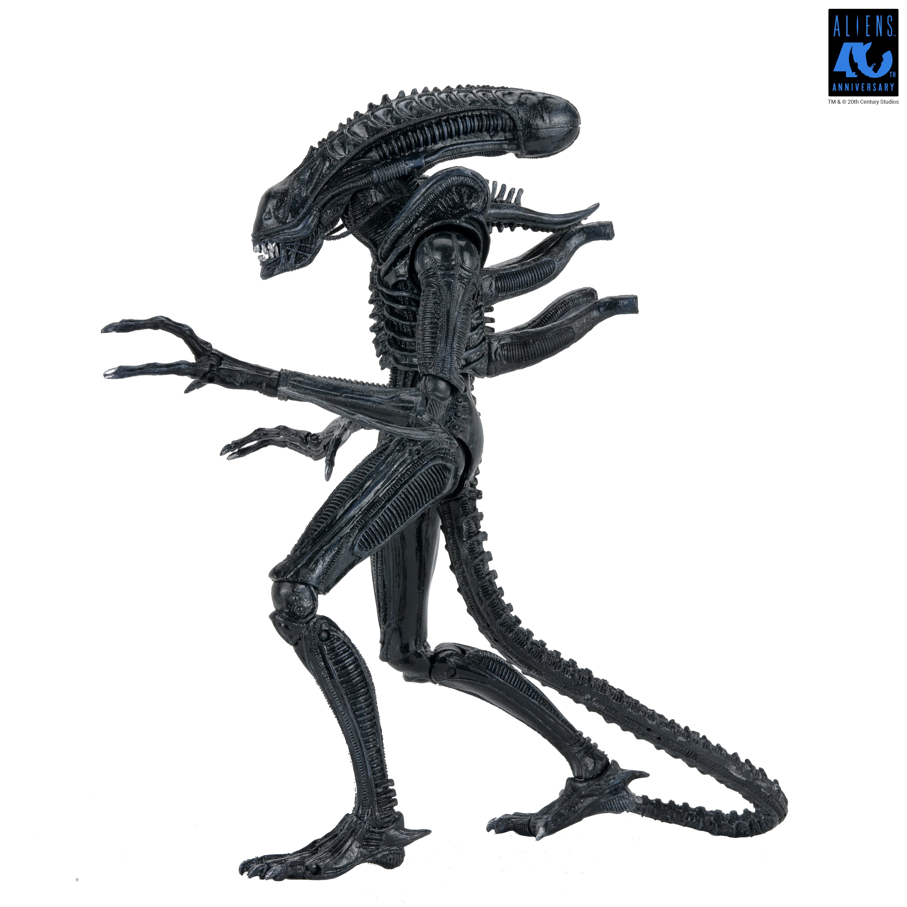 Aliens - 40th Anniversary Ultimate Xenomorph Warrior 7