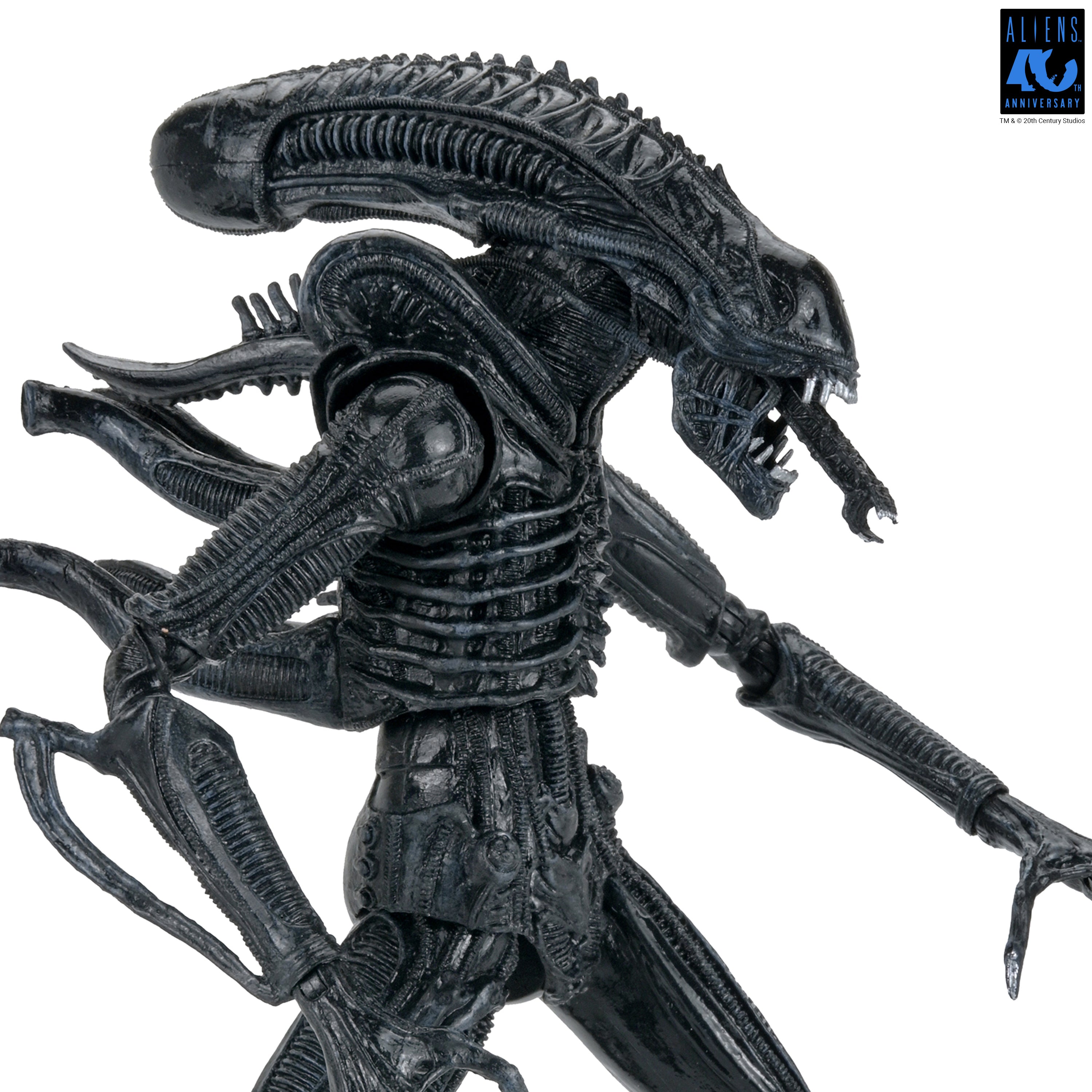 Neca エイリアン Aliens - 40th Anniversary Ultimate Xenomorph Warrior 7