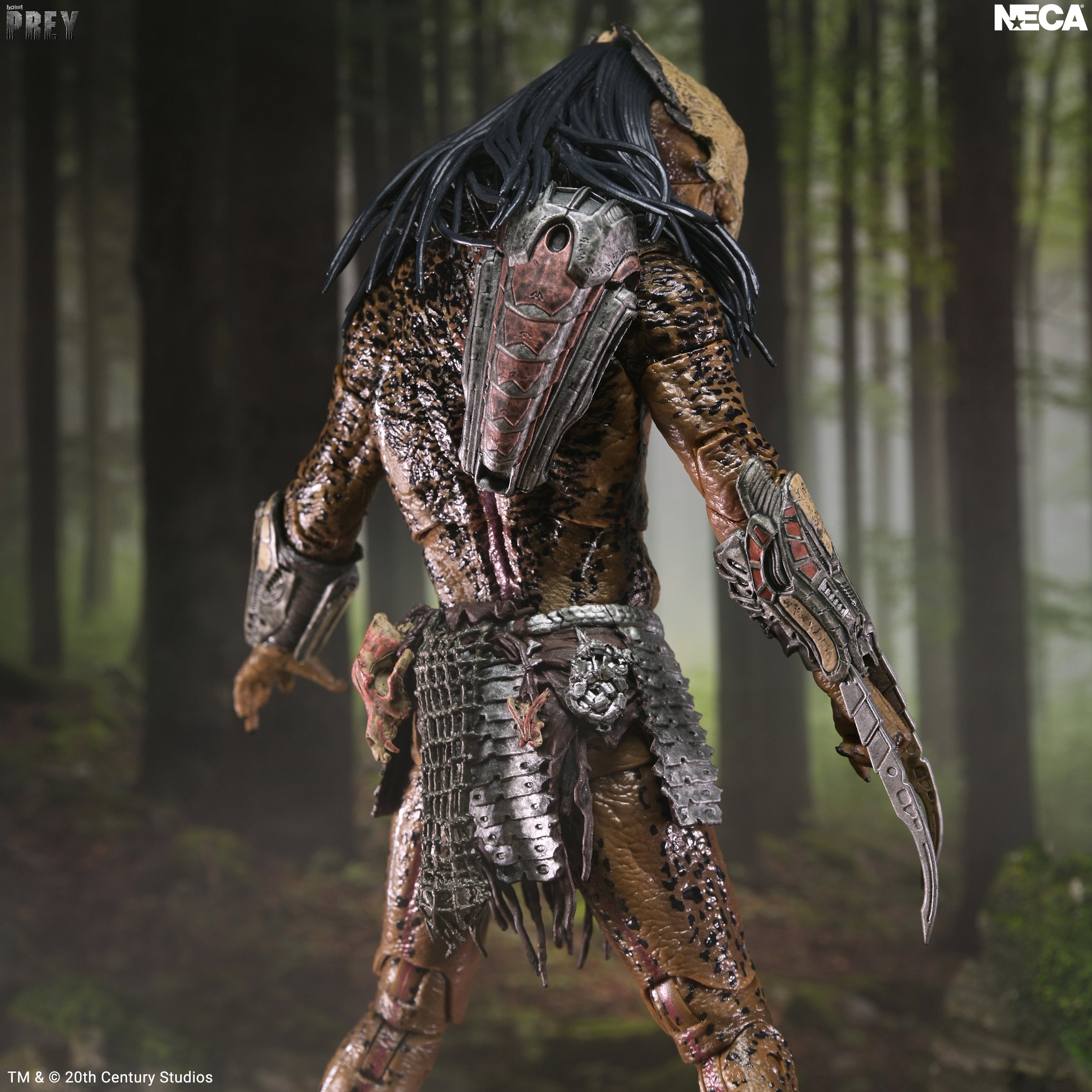 Predator/Prey