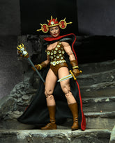 Teenage Mutant Ninja Turtles (Mirage Comics) Renet 7" Scale Action Figure on the NECA Store