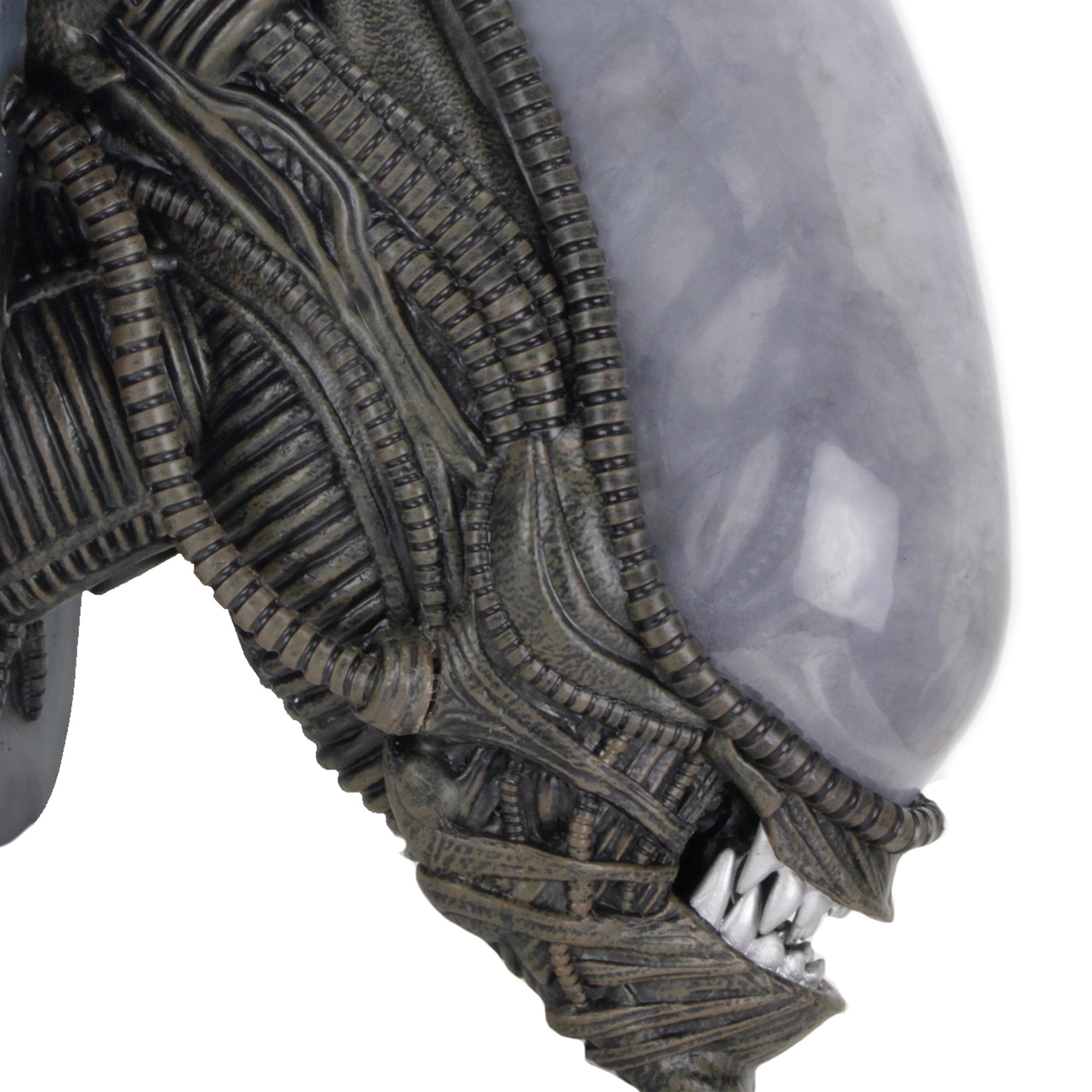 Zoomed in side view of Xenomorph Trophy Plaque