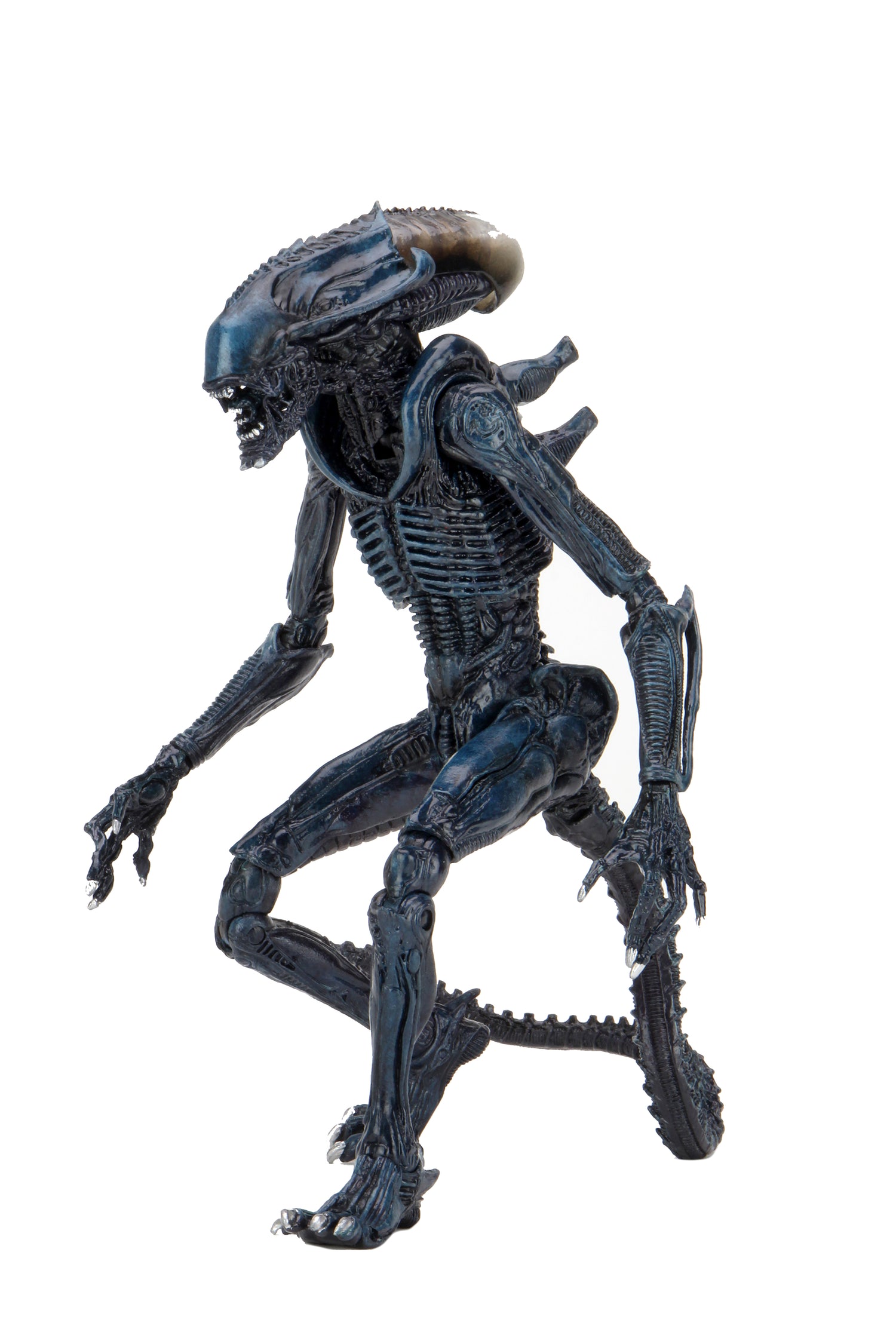 Alien vs Predator - 7&quot; Scale Action Figure - Arachnoid Alien (Movie Deco)