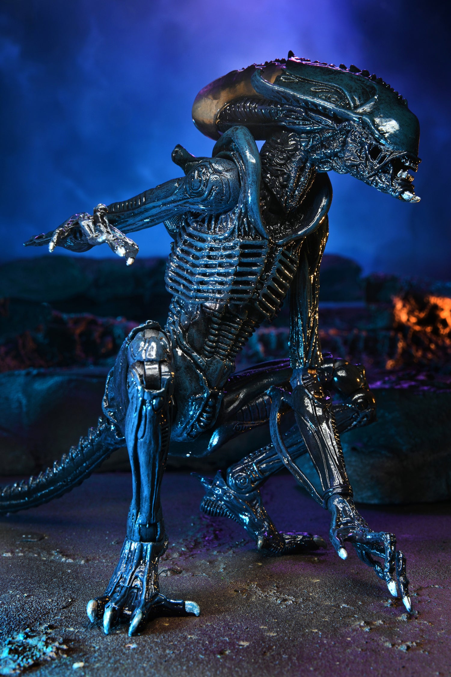 Alien vs Predator - 7&quot; Scale Action Figure - Arachnoid Alien (Movie Deco)