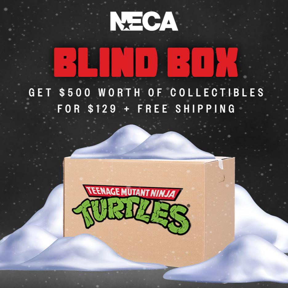 NECA Black Friday Blind Box - Teenage Mutant Ninja Turtles