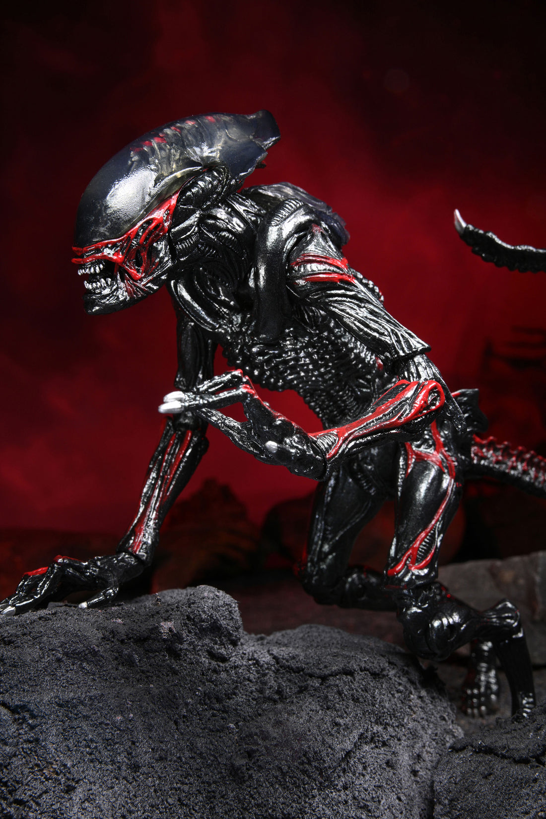 Aliens - Ultimate Kenner Tribute Night Cougar Alien 7" Scale Action Figure