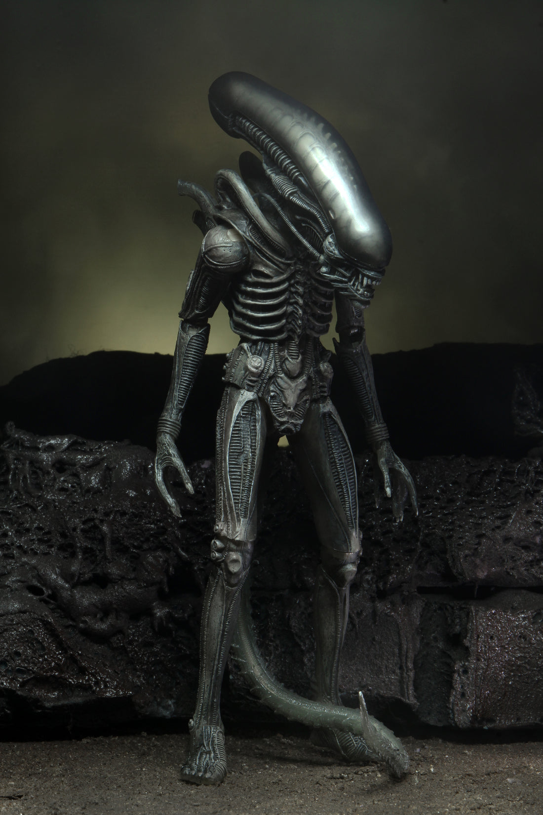 Alien - 40th Anniversary Asst 4 Giger-inspired Alien 7” Scale Action Figure - NECA