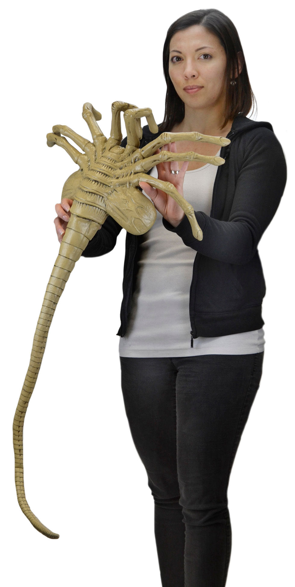 Neca alien shop facehugger