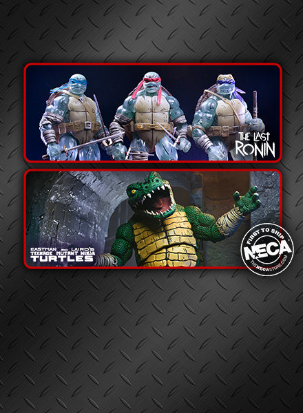 Welcome to the NECA Store!