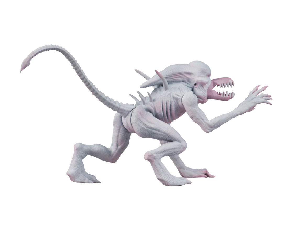 Alien & Predator Classics - Neomorph Alien 6” Scale Action Figure