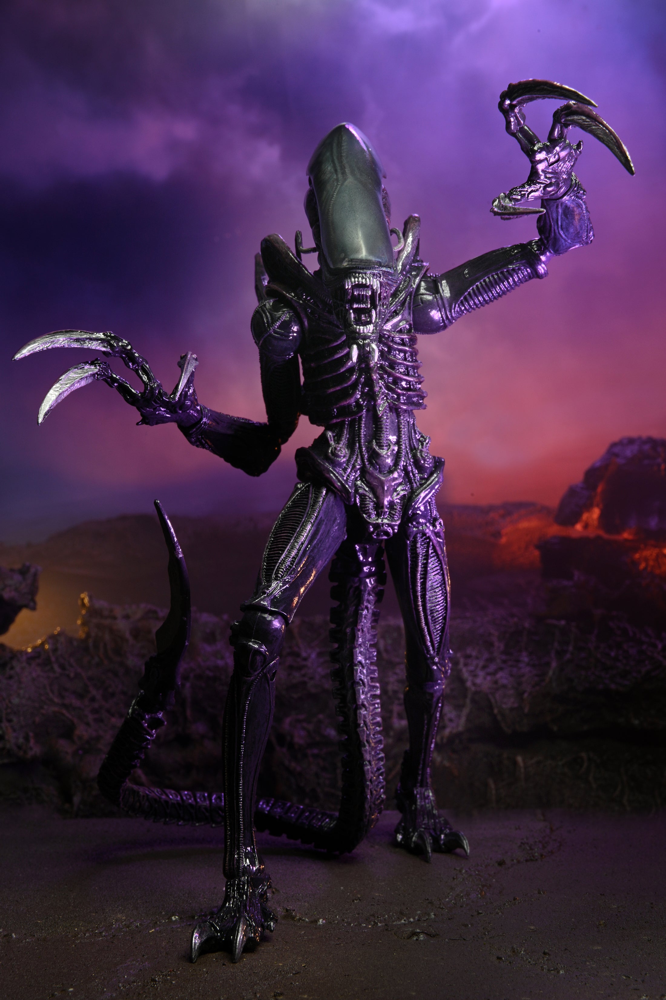 Alien vs Predator - Razor Claws Alien (Movie Deco) 7