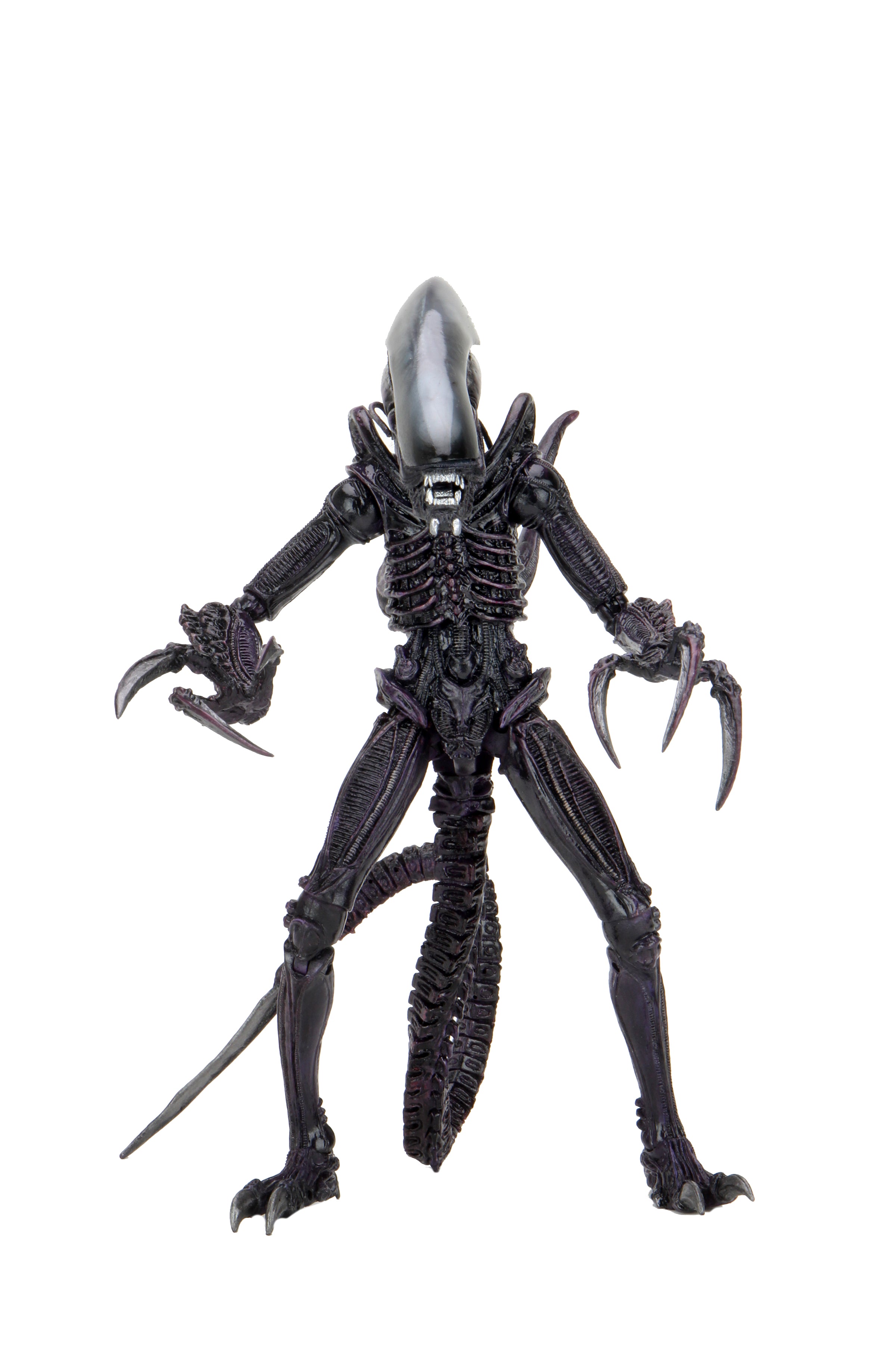 Alien vs Predator - Razor Claws Alien (Movie Deco) 7