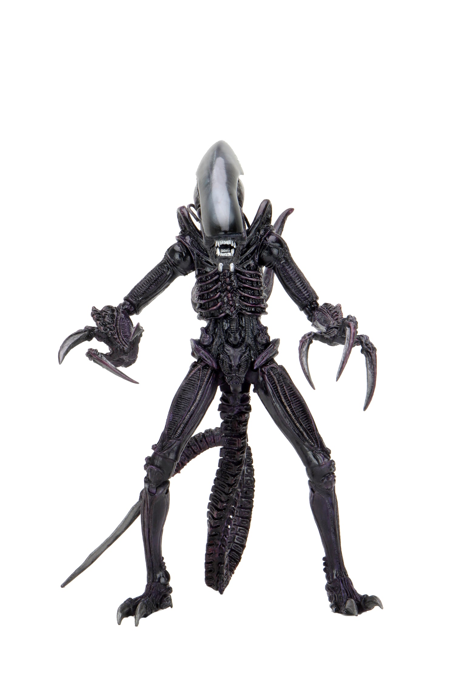 Alien vs Predator - Razor Claws Alien (Movie Deco) 7" Scale Action Figure - NECA