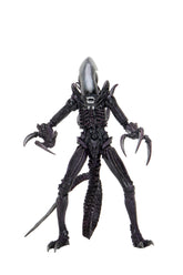 Alien vs Predator - Razor Claws Alien (Movie Deco) 7" Scale Action Figure - NECA