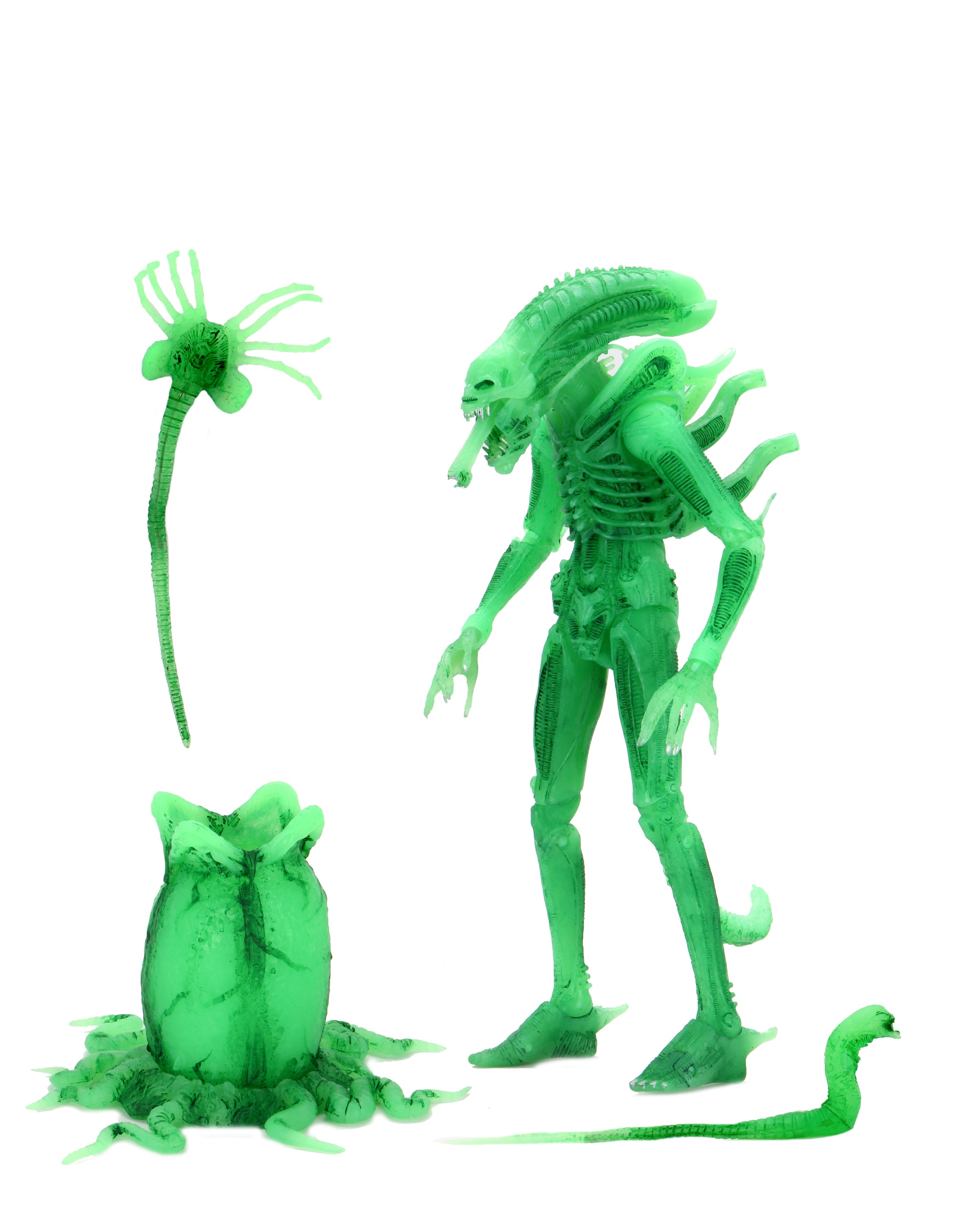 NECA エイリアン ビッグチャップ SDCC2020限定 2020 CON EXCLUSIVE: Alien – Ultimate Big Chap 7
