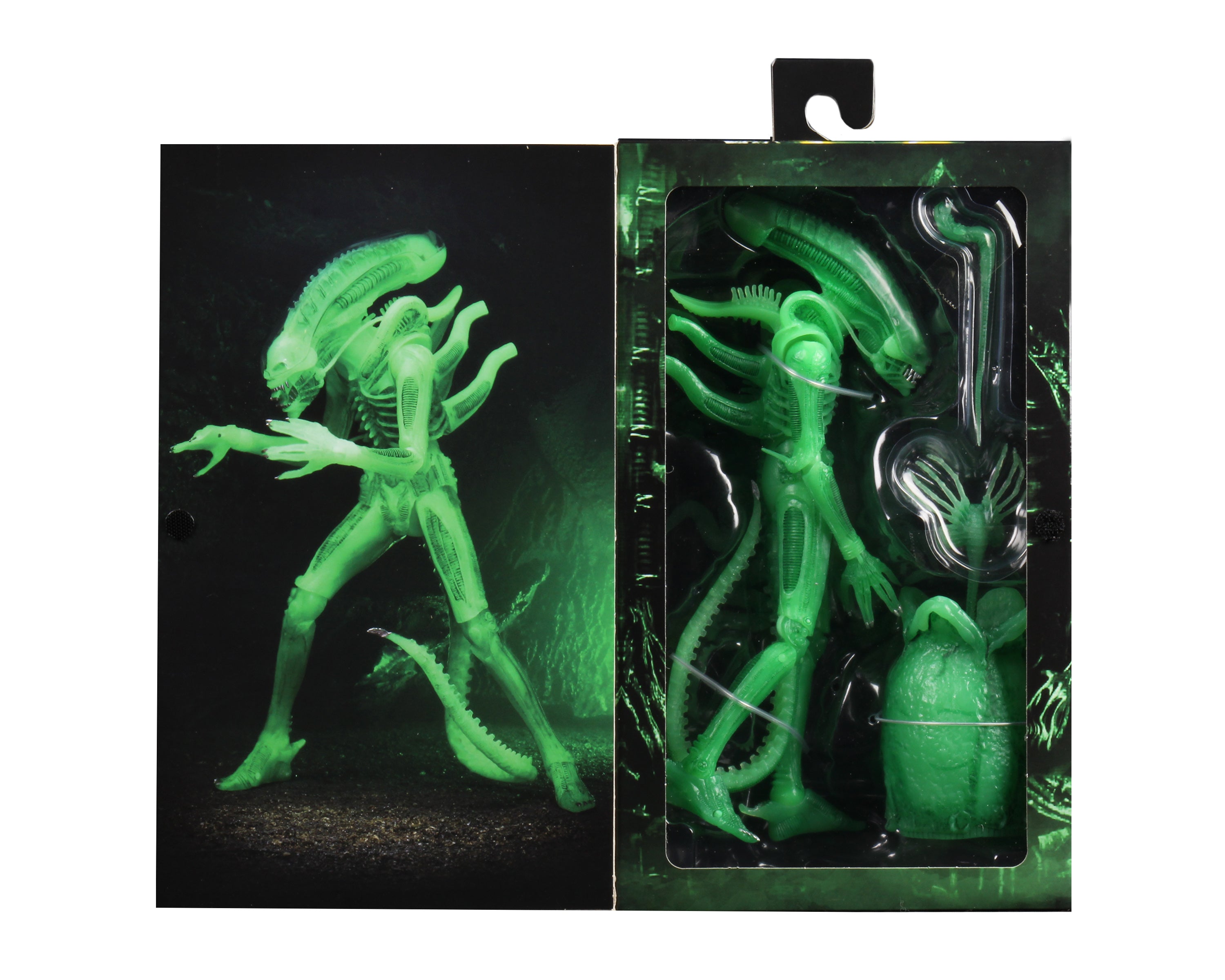 NECA エイリアン ビッグチャップ SDCC2020限定 2020 CON EXCLUSIVE: Alien – Ultimate Big Chap 7